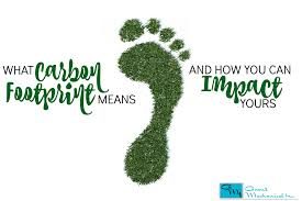 A Training  Program for your Team on Carbon Footprint Measurement and Management.