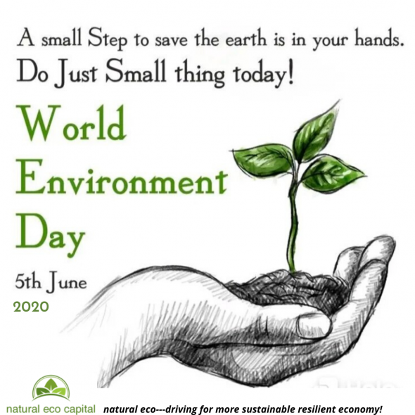 #WORLDENVIRONMENTDAY