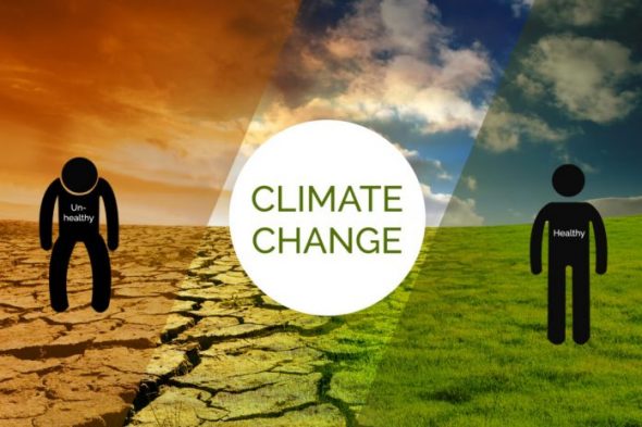 Technology, SMEs Key to Climate Change Adaptation