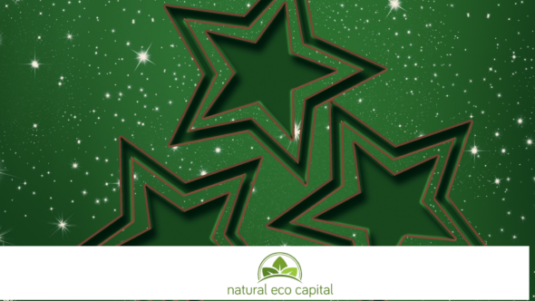 Thank You for Building a Greener Future With Us